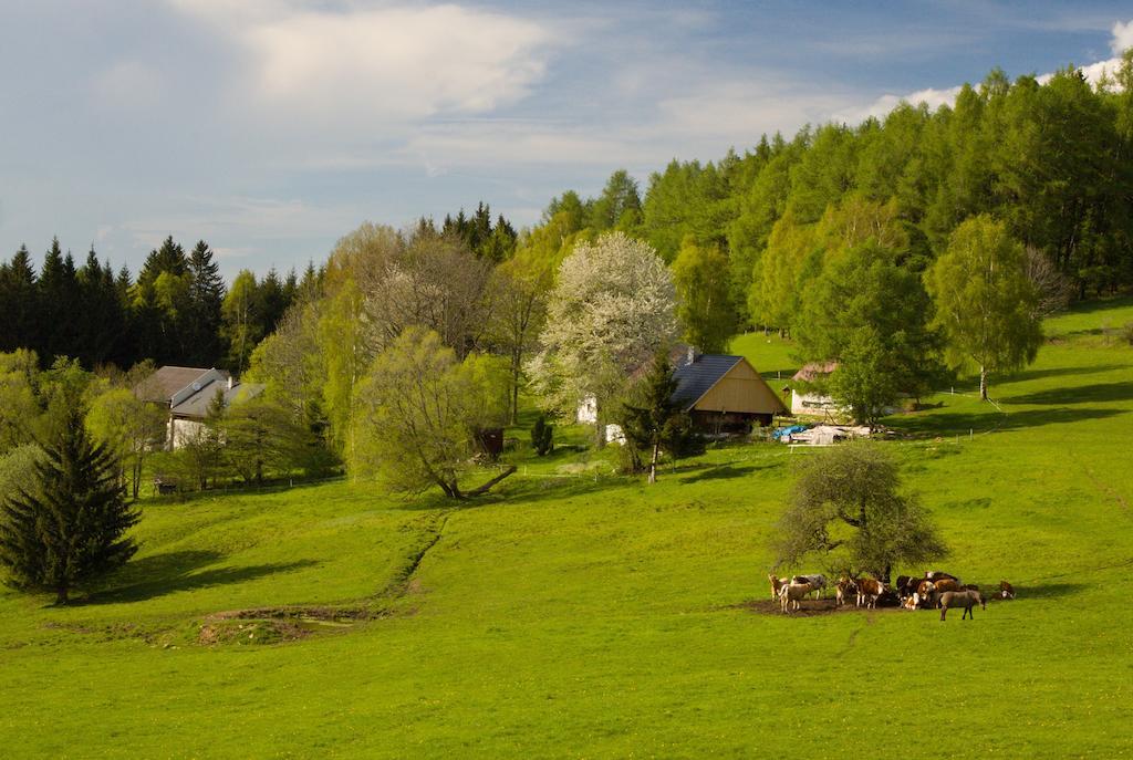 Penzion Stara Vapenka Svinná المظهر الخارجي الصورة